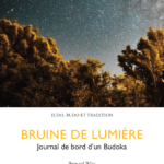 Editions Hagakure - Bruine de lumière - Bernard Wirz