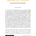 Editions Hagakure - Bruine de lumière - Bernard Wirz